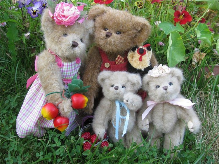 Моя семейка плюшевых мишек Bearington