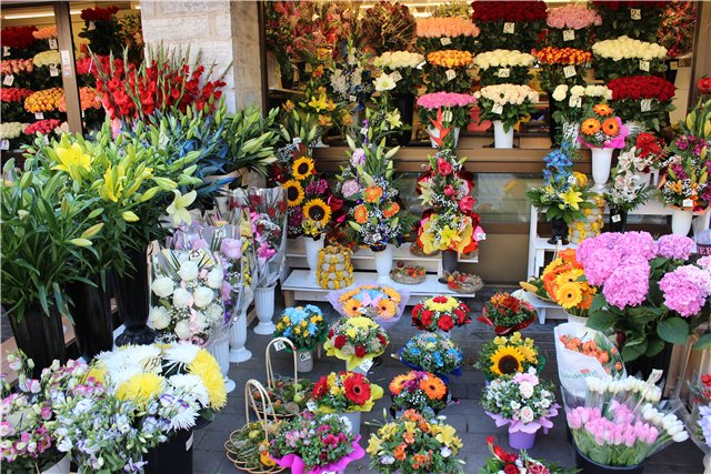 Средневековый Таллинн-город живой истории (фото 7)