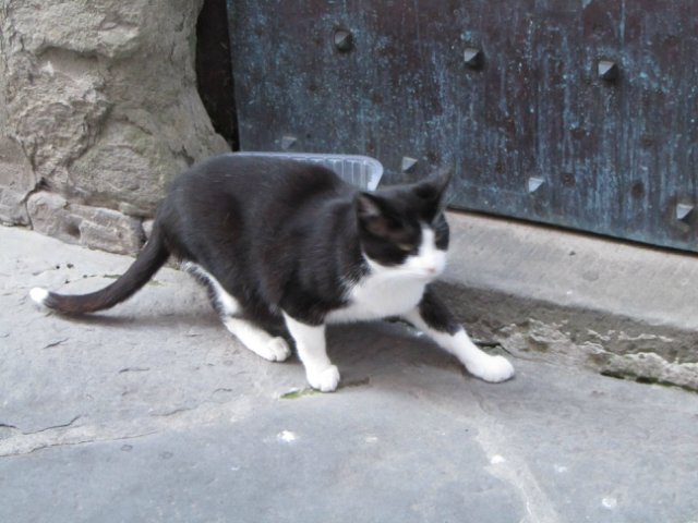 "Моя Италия". Часть 3 - Виареджо, Лукка, Пиза