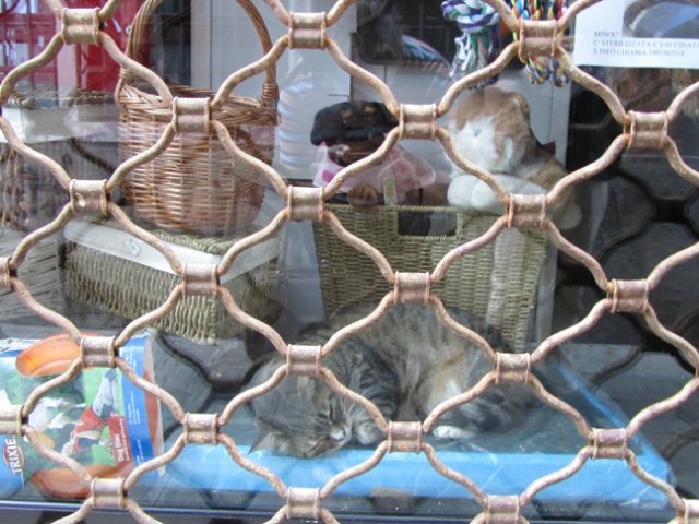 "Моя Италия". Часть 7 (заключительная) - Венеция