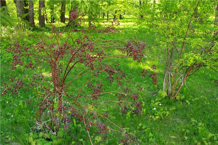 Субботний вояж. Заключительная часть