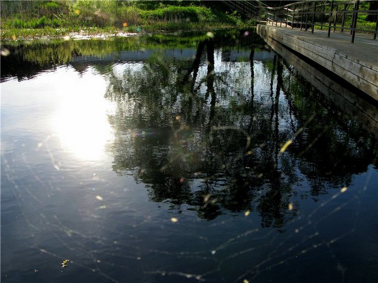 Прогулка с Райли. Riley от автора Helen Kish