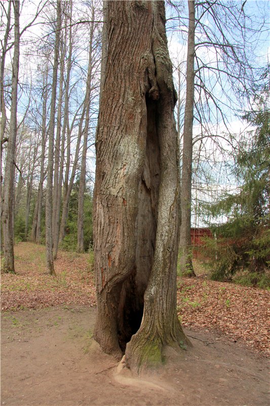 Сказочное Василёво. Реплика антикварной куклы Bébé BRU JNE от автора Branka Schärli