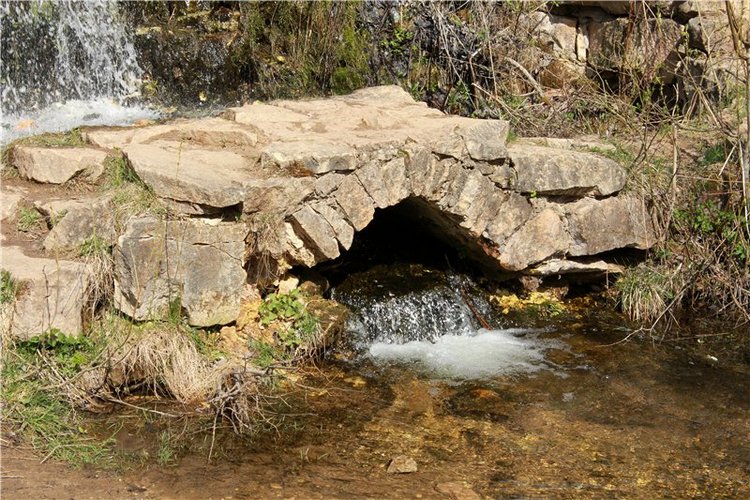 На водопад с Райли. Riley от автора Helen Kish