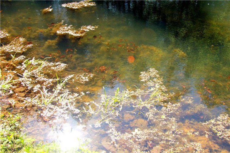 Субботний вояж. Часть вторая | Бэйбики Субботний вояж. Часть вторая