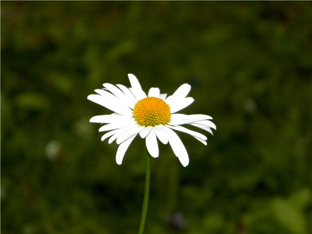 Тепло Природы — Интересное и необычное: фотоподборки (фото 2)