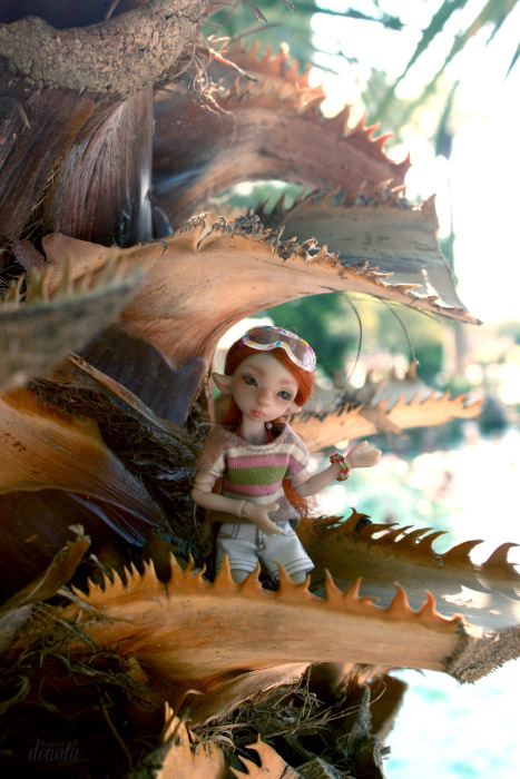 Как Фиби в отпуск съездила. Авторская бжд-мышка Лидии Снуль