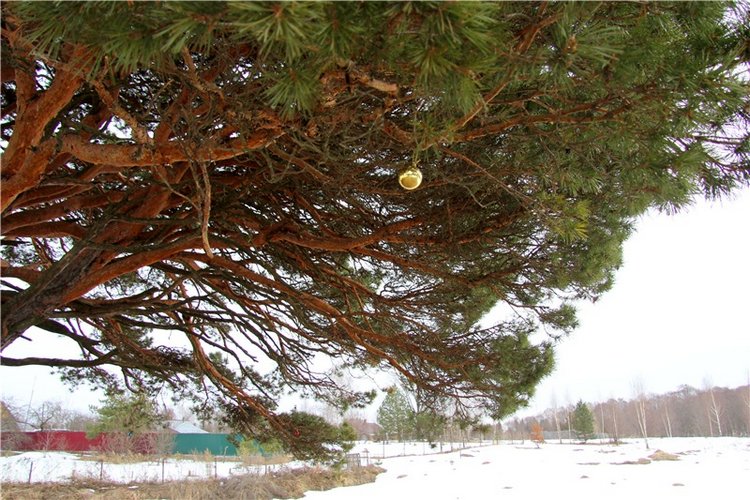 Весеннее путешествие. Продолжение (фото 7)