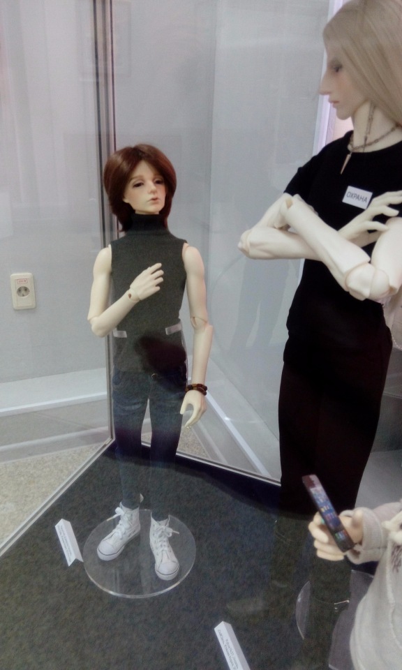 Выставка кукол БЖД в Мурманске