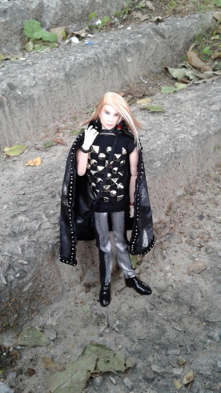 Зимнее солнце. Глава 1. Сказочный поезд