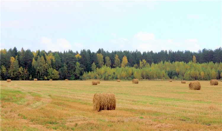Тверской Водопад — Туризм и путешествия: фотоотчеты из поездок