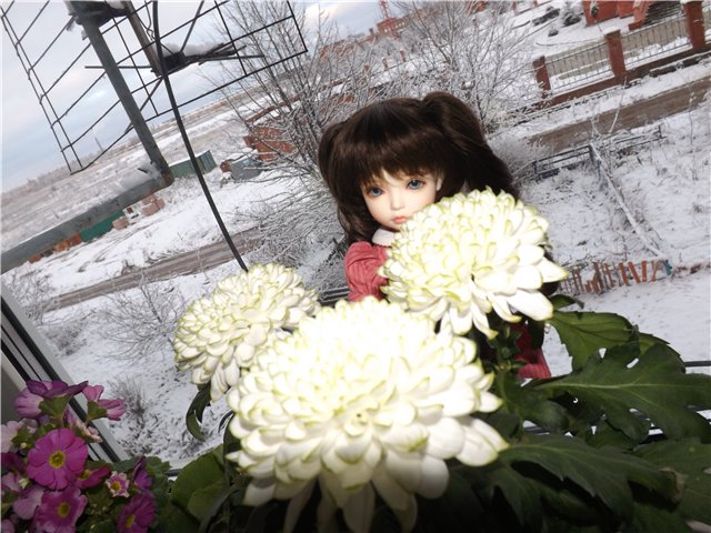 Красавица-Элин,девочка принцесса (фото 5)