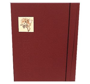 Долгая жизнь цветочных фей от иллюстраций Cicely Mary Barker до кукол Birgitte Frigast