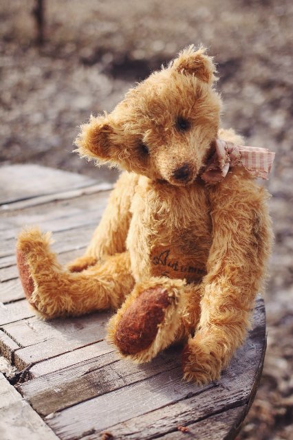 Старый забытый друг | Бэйбики Старый забытый друг — Авторские мишки Тедди и друзья: фото (фото 3)