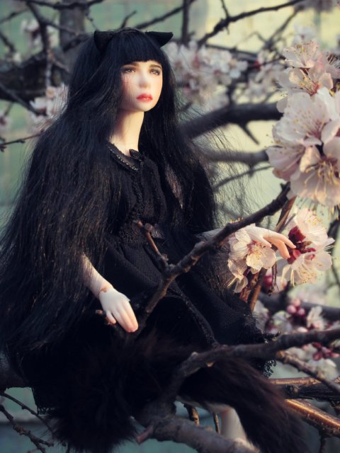 Милая шарнирная кукла Кэт (фото 3)