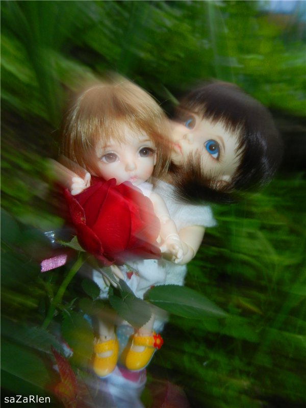 Варвара путешевственница (Литтлфи Анте)