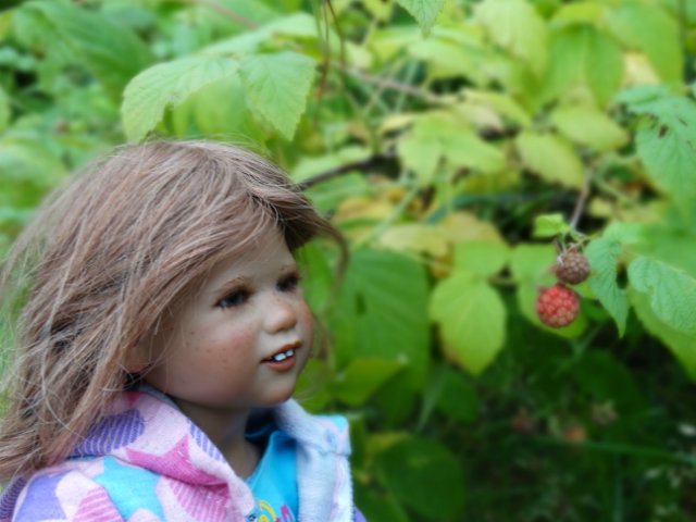 Лесные покатушки — Куклы Annette Himstedt (Аннетт Химстедт): коллекционные