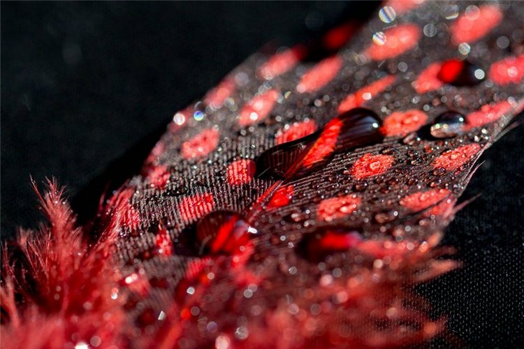 Черное и красное | Бэйбики Черное и красное — Одежда и обувь для кукол своими руками: фото