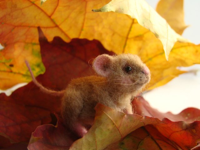 Шустрый гость. Авторская игрушка валянием из шерсти Ольги Чернухо (фото 3)