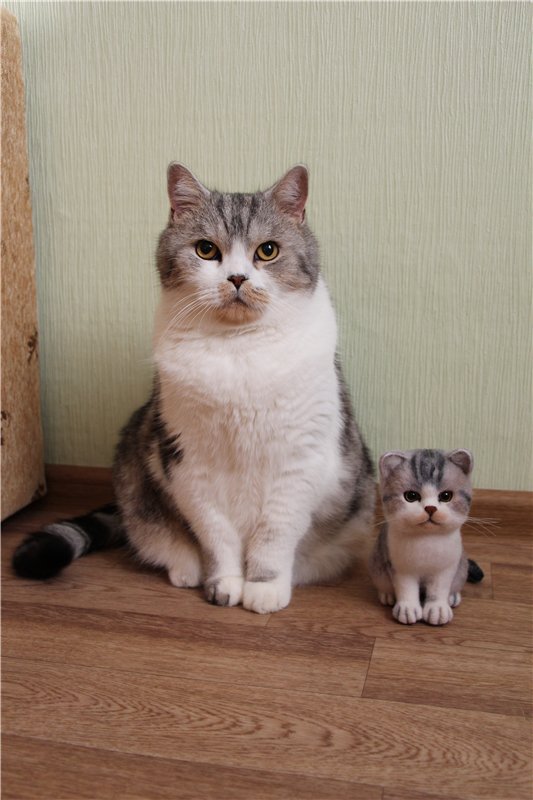 Котик Дени. Авторская игрушка Анны Ястрежембовской