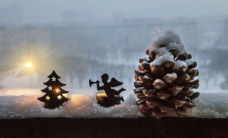 Чудесные новогодние натюрморты