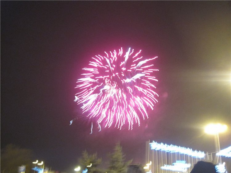 Как мы встречали Новый 2016 год