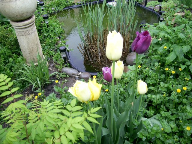 Прогулка между каплями дождя :) Коллекционная кукла Пиппина от Сюзан Липпл (фото 4)