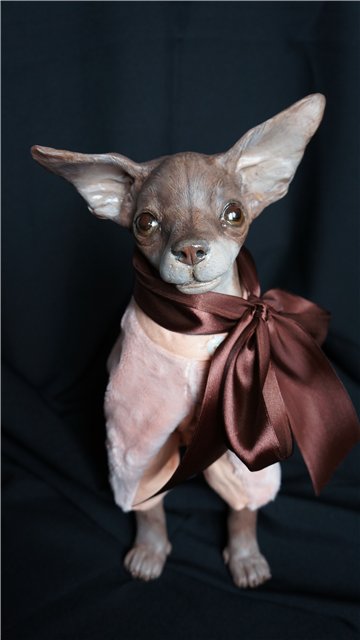 Авторские собачки Светланы Гришко (фото 5)