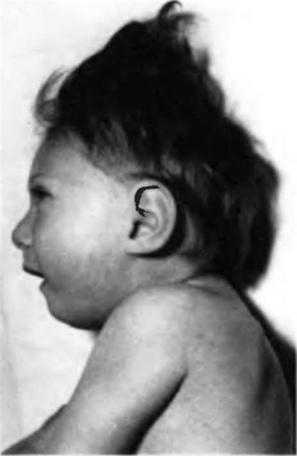 Немножко анатомии: Лепка и роспись кукол-детей