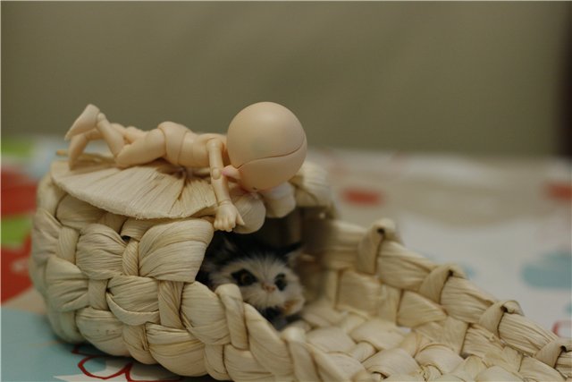 В нашем доме поселился замечательный жилец! Реалпуки Попо (фото 7)