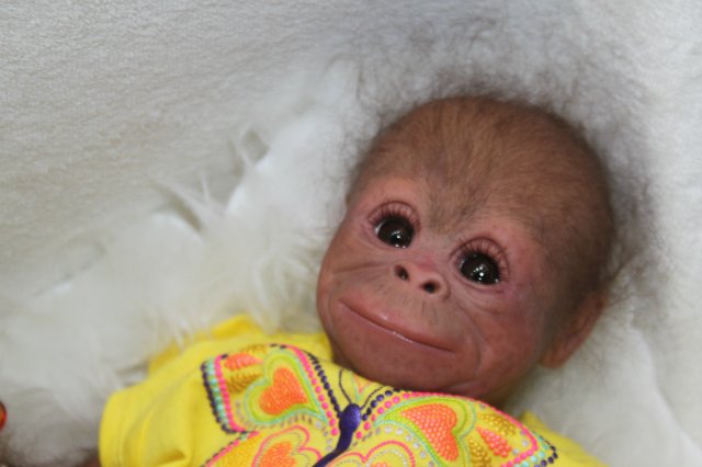 Наши Мастера. Фотоотчёт с IV Московской международной выставки "ИСКУССТВО КУКЛЫ", часть 2 | Бэйбики Наши Мастера. Фотоотчёт с IV Московской международной выставки "ИСКУССТВО КУКЛЫ", часть 2