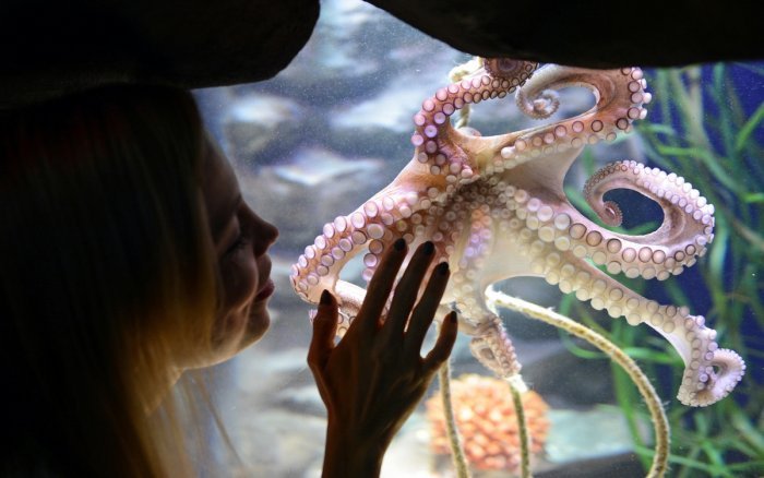 Наши любимые животные — Болталка и разговоры обо всем: жизнь (фото 2)