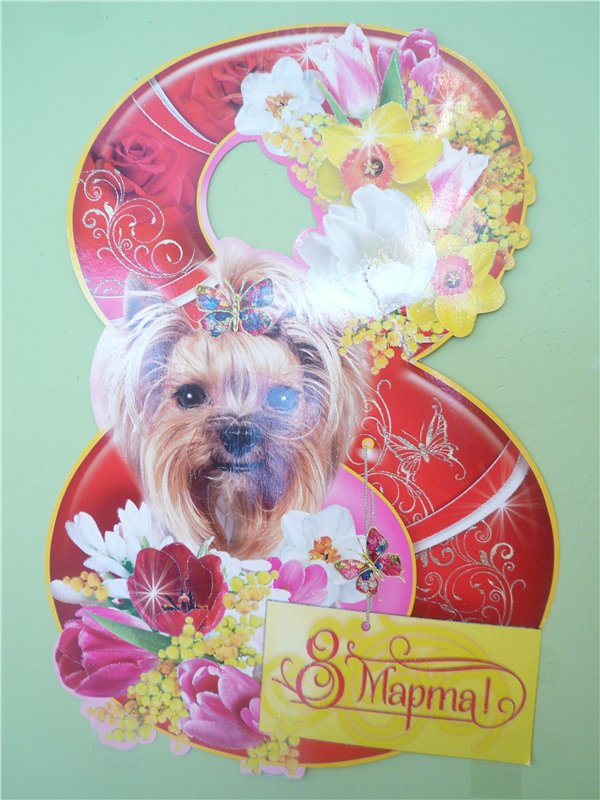 Алиса - куколка моего вдохновения! Часть 4 | Бэйбики Алиса - куколка моего вдохновения! Часть 4