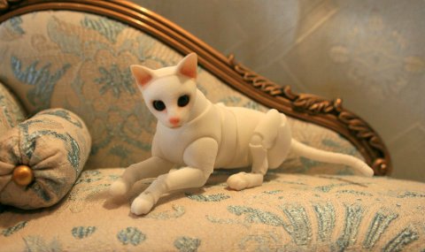 БЖД питомец - кот Као-Мани