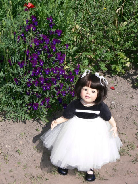 Прогулка в Ботаническом саду Санкт Петербурга. Часть 3. Садовая клумба