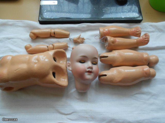 Шестипалая Дарина. Часть 2. Ищем образ