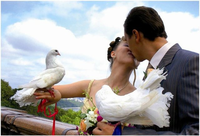 Бестактность наших дней, Когда ты выйдешь замуж? Зачем тебе куклы и т.д | Бэйбики Бестактность наших дней, Когда ты выйдешь замуж? Зачем тебе куклы и т.д (фото 5)