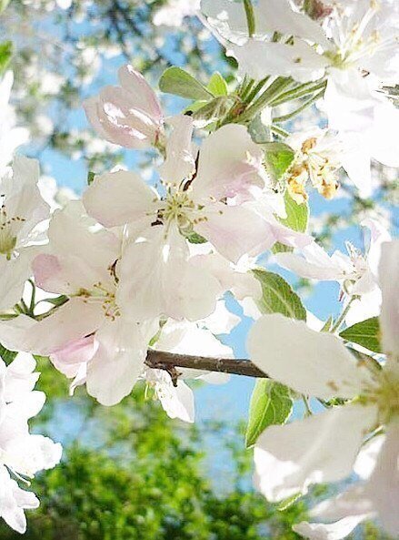 Весенняя девушка от Натальи Лосевой (фото 7)