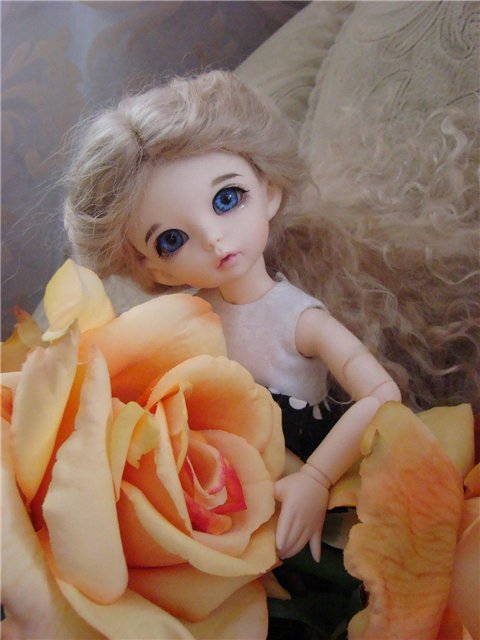 Моя воображуля Николь (или заберите у меня фотоаппарат))))) (фото 8)