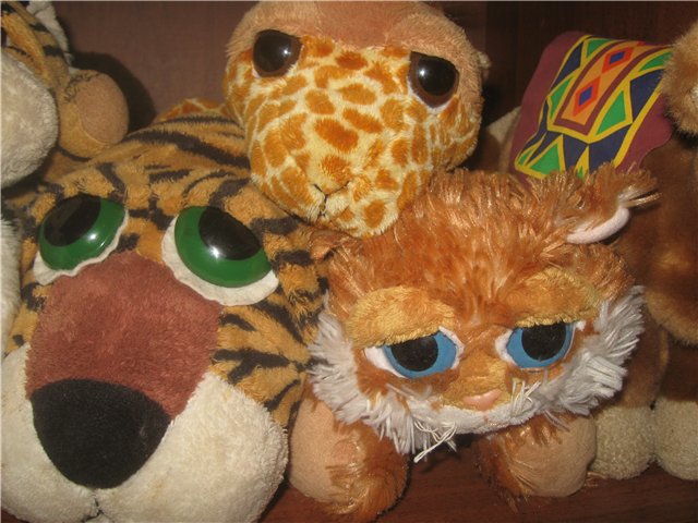 Любимцы моих мальчишек или пучеглазики (фото 2)