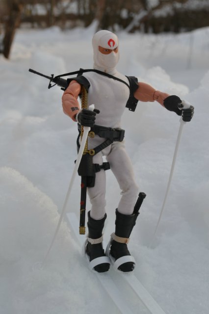 Вия и Киншин. Продолжение (фото 2)