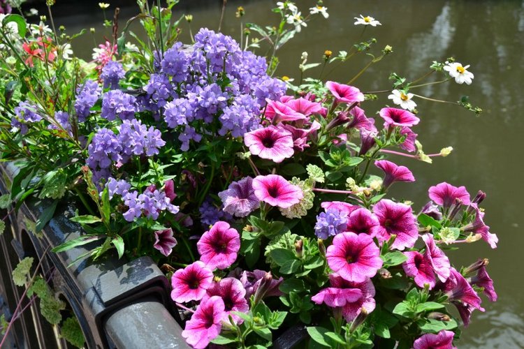 Очарование стринных французских городов