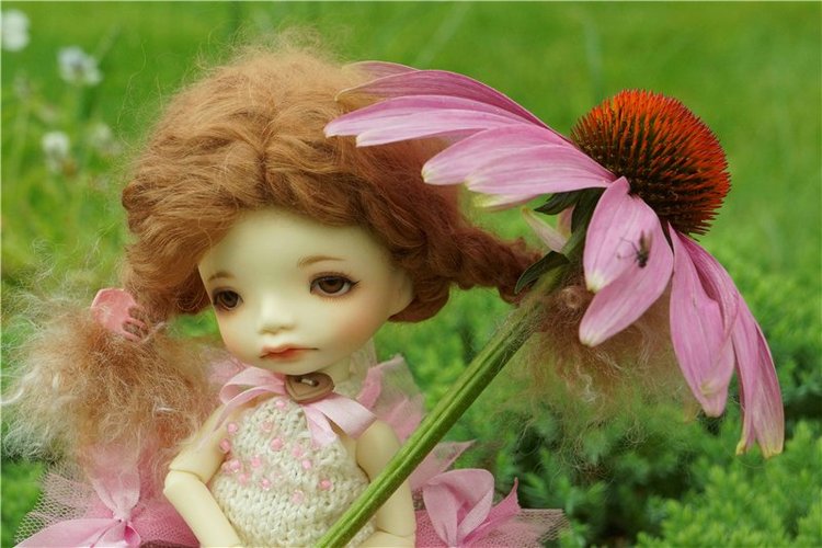 Знакомьтесь - моя Алиса! Куклы Irrealdoll (фото 6)