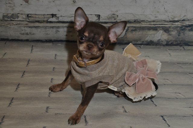 Моя!!! Хоуп от Кайе Виггз. Я верю в чудеса... А Вы?)