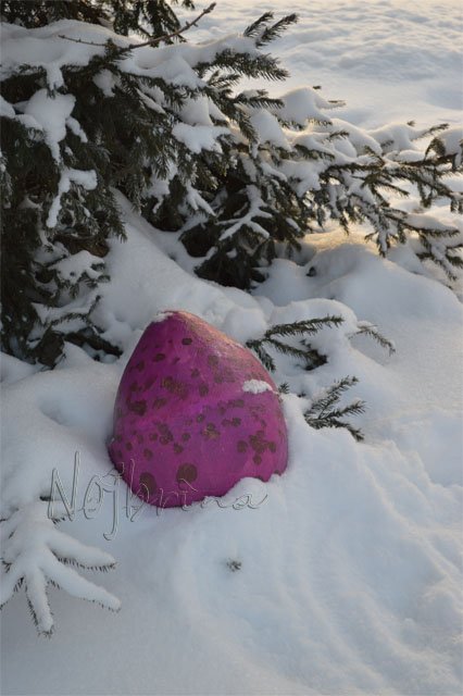 Самый лучший день или откуда берутся вихтели Rosemarie Muller