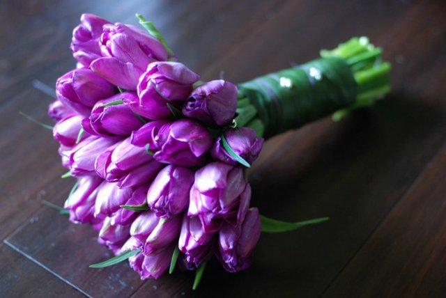 Женщины похожи на людей и живут рядом с ними или Слаще жизни и горше смерти. Предпраздничная болталка