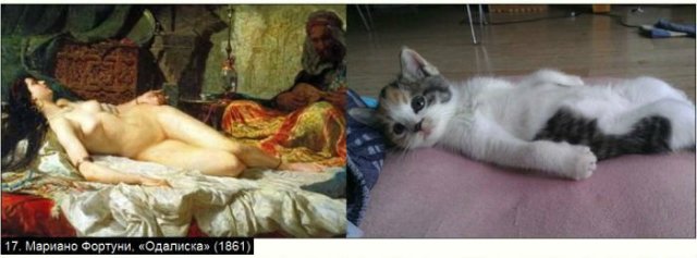 «Мяу» особого назначения или Весенняя кошкотерапия