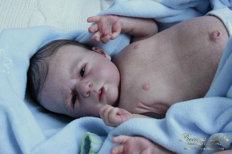 Двойное счастье! Куклы реборн Анастасии Бочковой