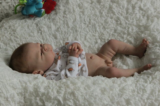 Мальчик Ноэльчик... Куколка реборн Виктории Вишни (фото 2)