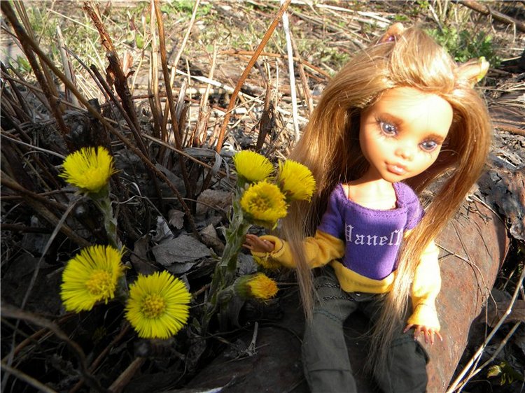 Мой милый Монстр... ООАК Monster High от Mattel (фото 2)